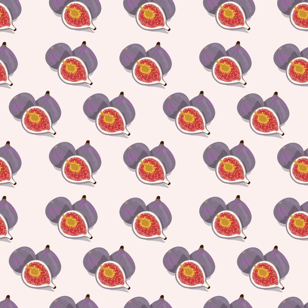 pattern is seamless with whole figs in the section. illustration drawn by hand. Design for wrapping paper, cover, background, print. vector