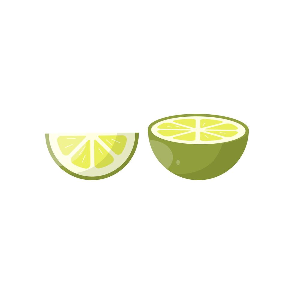Half and a slice of lime on a white background vector
