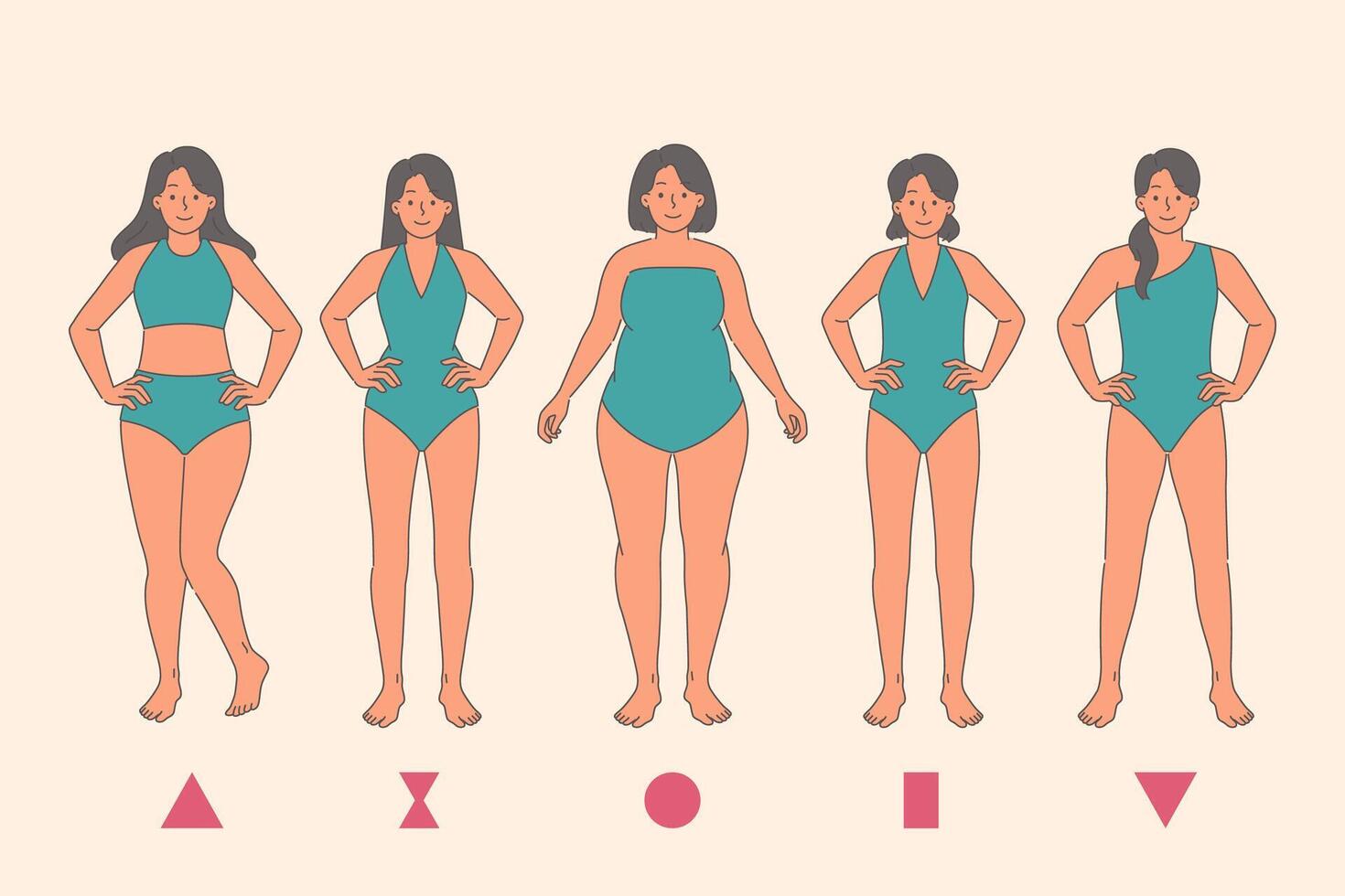 Anatomy woman body types and different species figures that affect size of breasts and hips or waist vector
