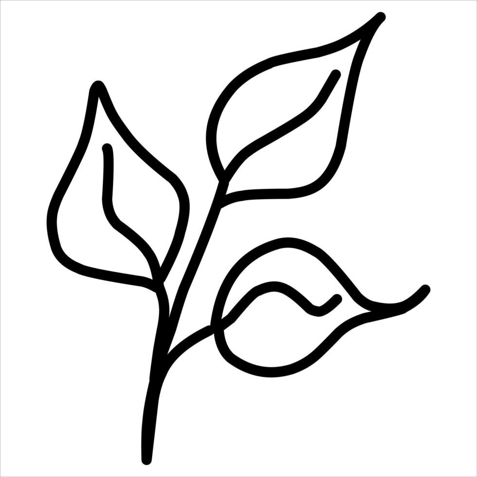 Leaf illustration, Hand-drawn doodles illustration.Line art vector