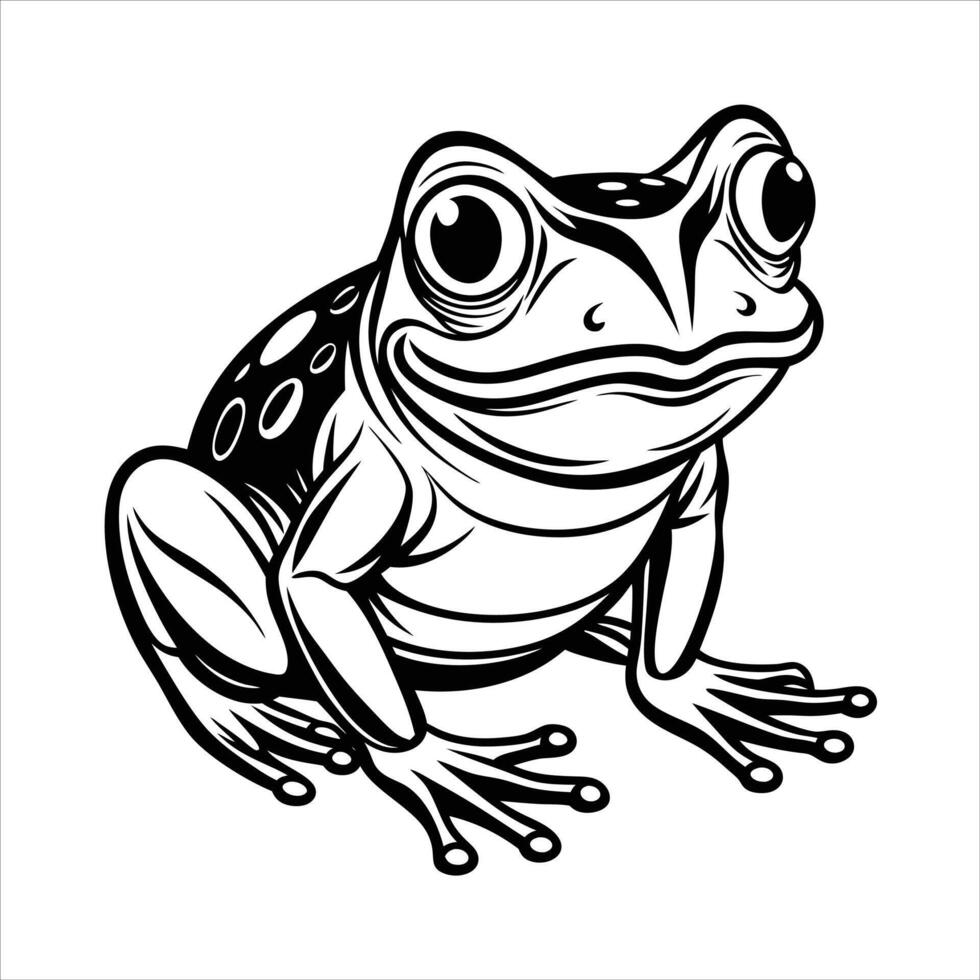 frog on white background vector