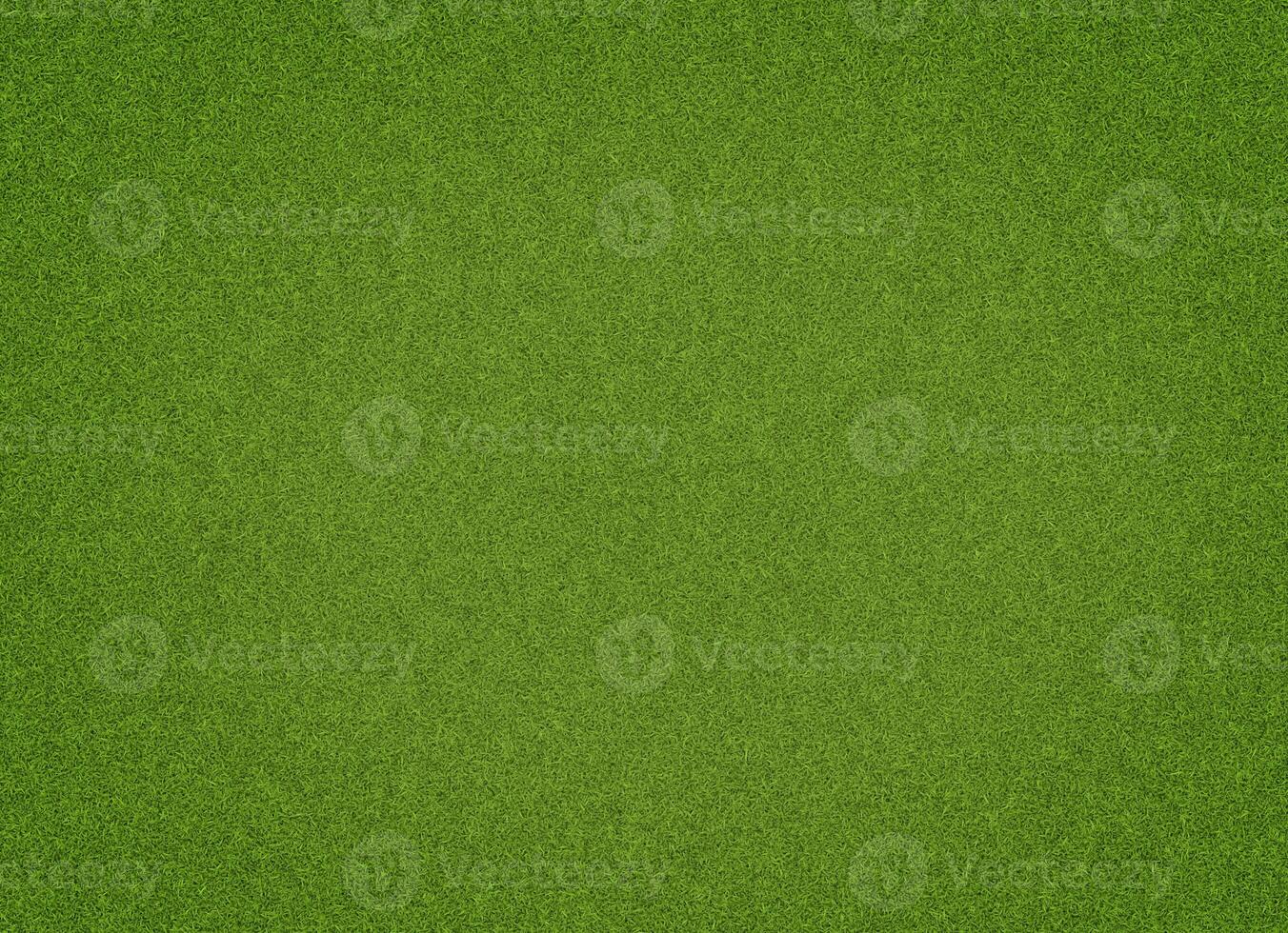 Green grass background, top view background of garden bright grass concept used for making green backdrop, lawn for sports field, photo