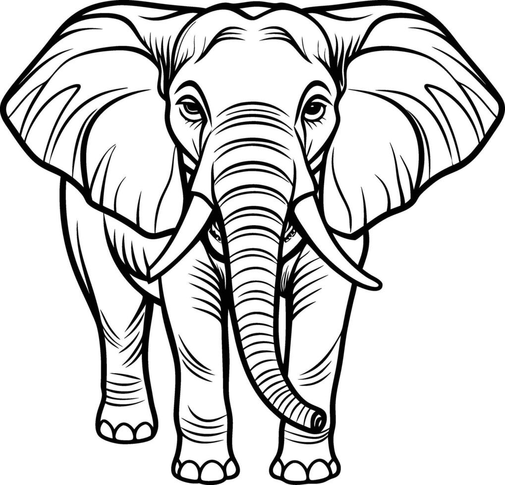 Minimalist Outline Drawing of an Elephant vector