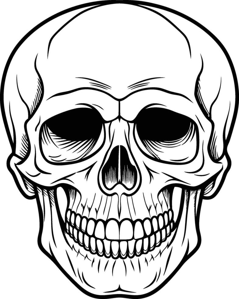 Minimalist Skull Outline Design Illustration vector