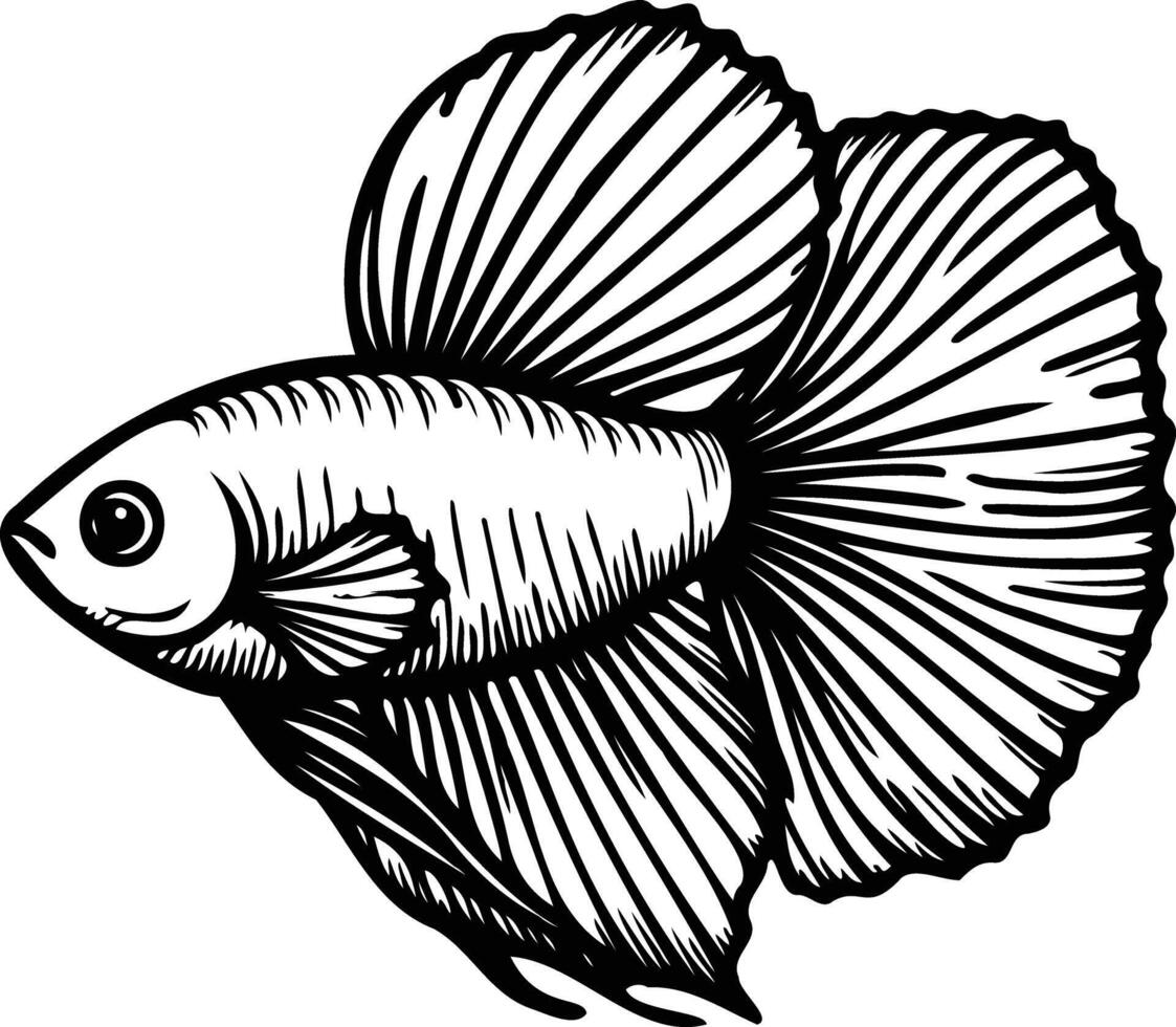 FIsh outline on a white background vector