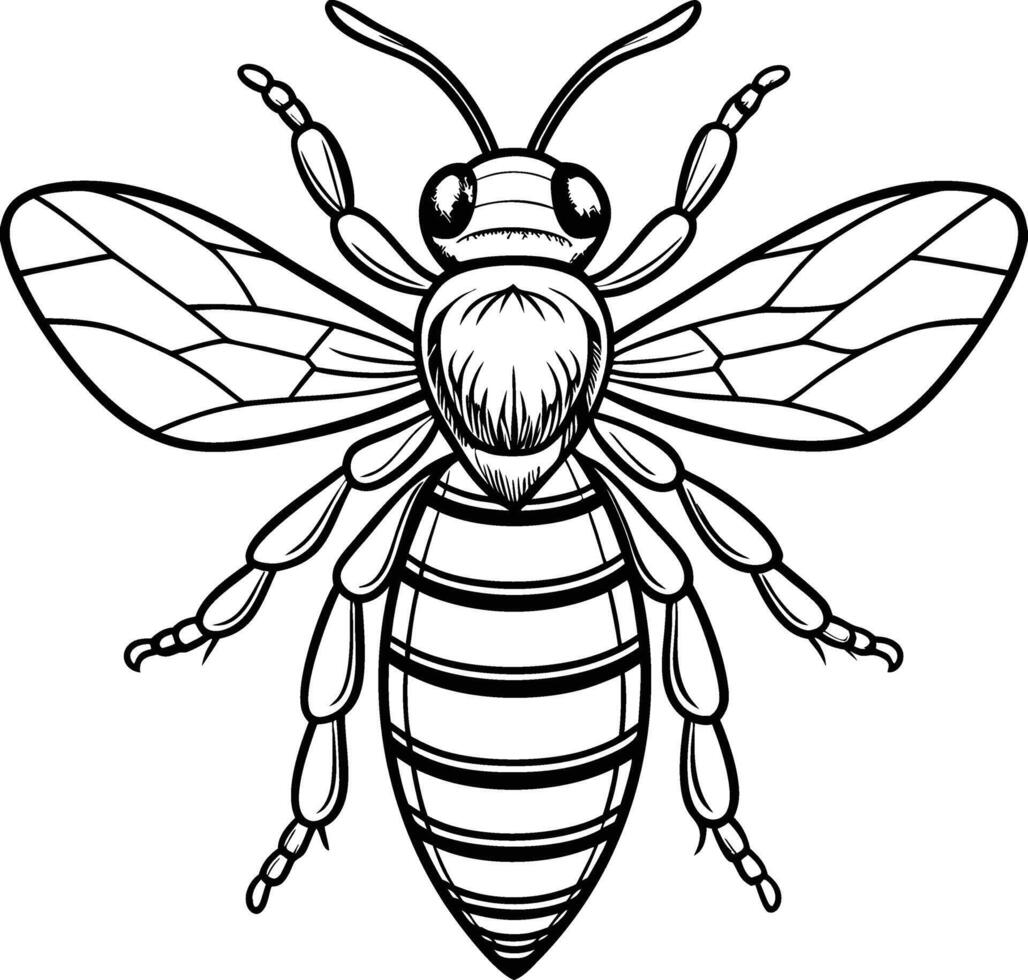 Minimalist Bee Outline Design Illustration vector