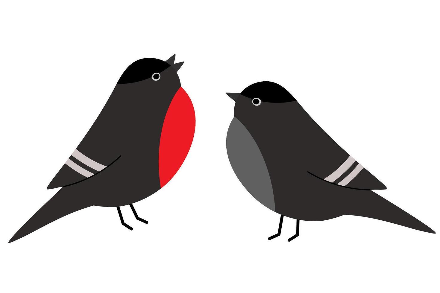 A pair of bullfinches on a white background. Red-breasted winter birds. vector