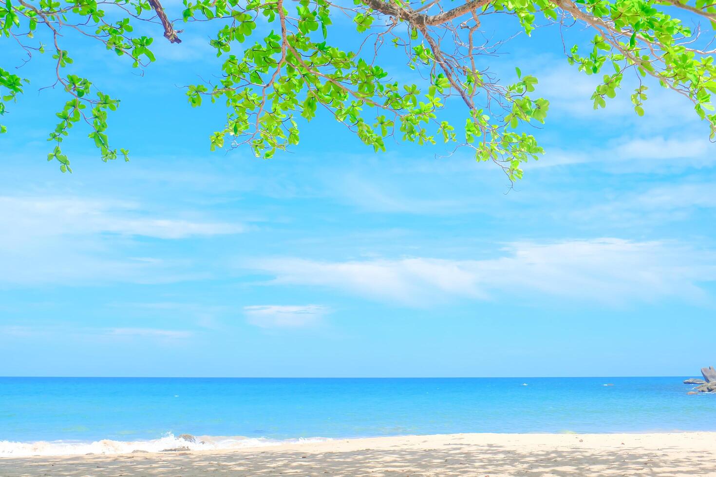 Marine landscape,Khao Lak Beach Thailand. photo