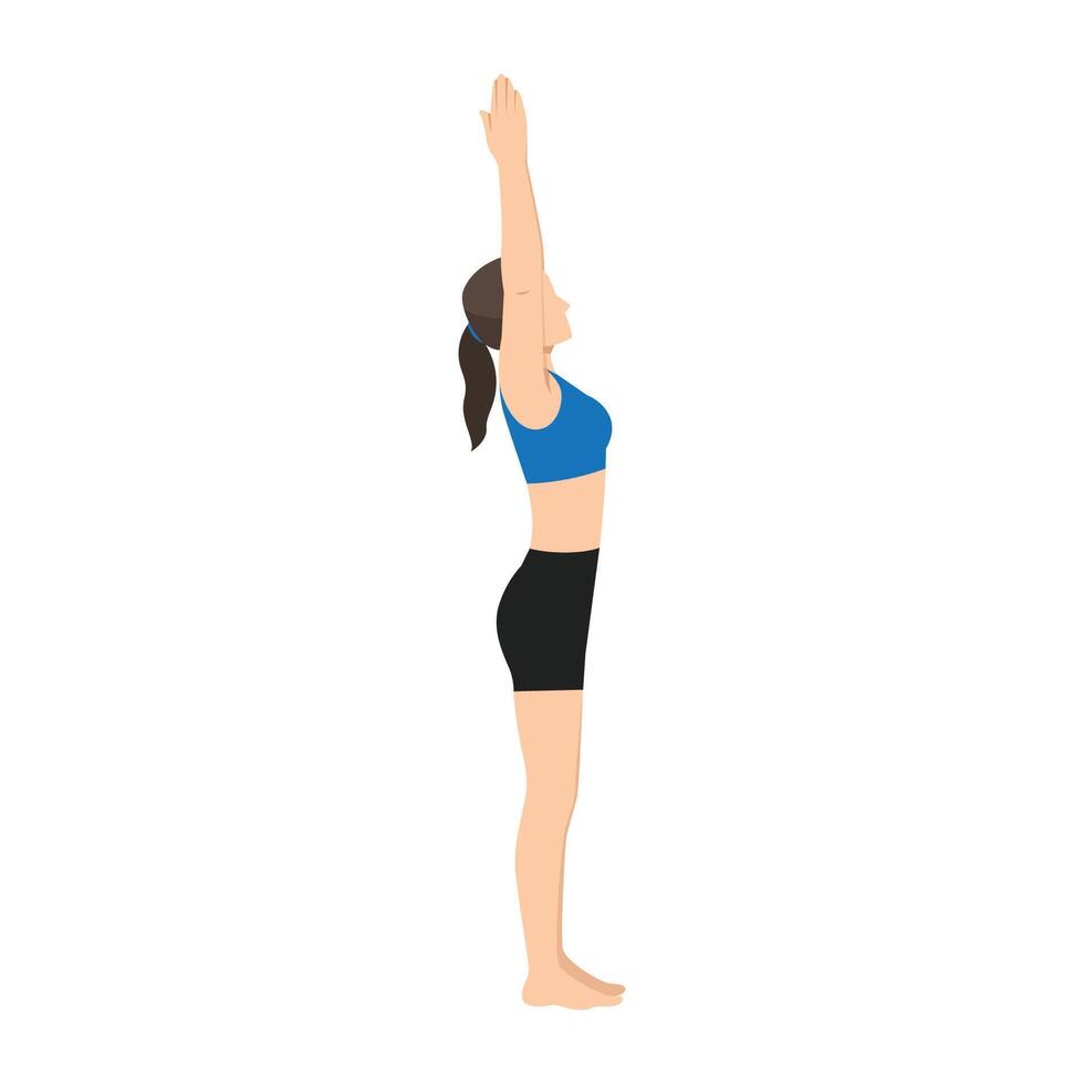 Woman doing Volcano Pose, Upward Hand Pose, Upward Salute Pose or Tadasana Urdhva Hastasana. vector