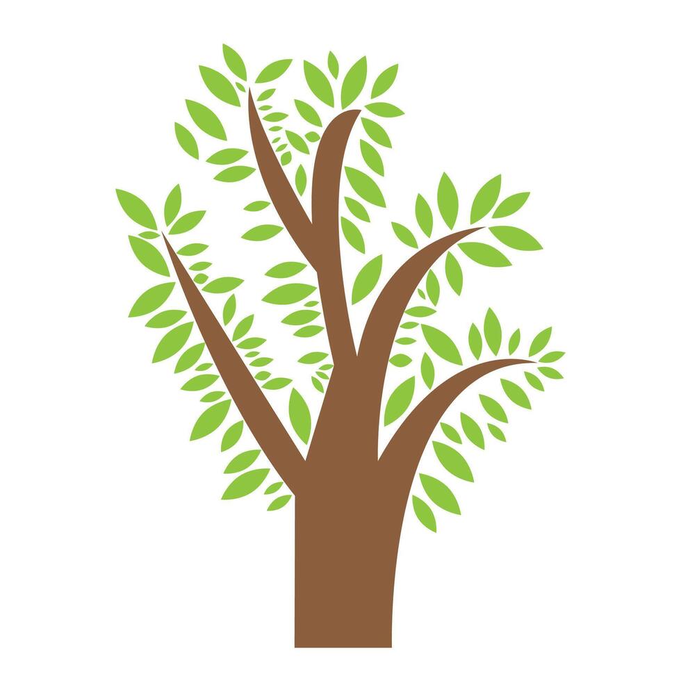 Tree green leaves vector