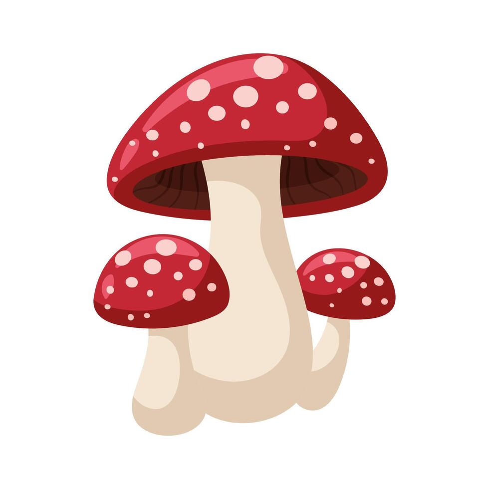 Amanita. Magical wild mushroom. Autumn forest raw ingredient. Cartoon flat illustration. vector