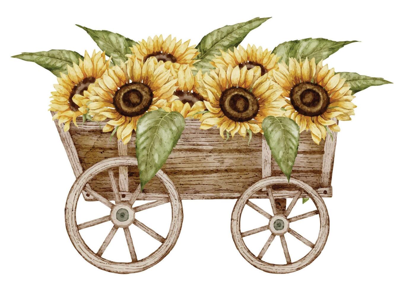 Rustic Wooden Cart with Sunflowers and Green Leaves Watercolor Illustration. Drawing of wagon with autumn yellow Flowers for Harvest festival Greeting Cards or fall wedding invitations vector