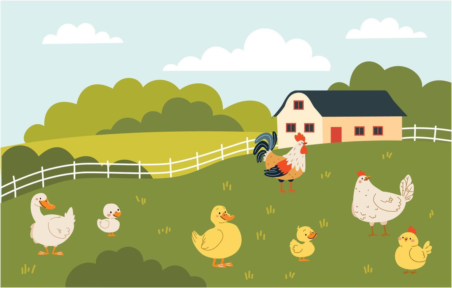 Flat illustration in children's style. Field and farm landscape, domestic birds, hen rooster duck goose goose chicken duckling goose duckling goose chick vector