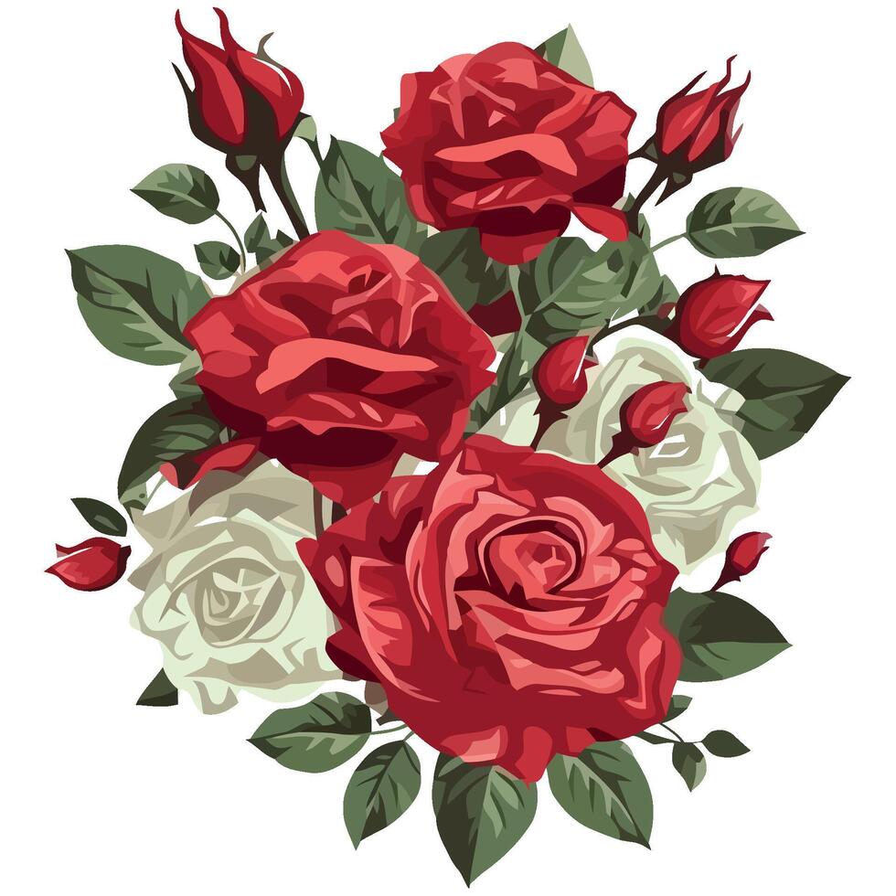 Red and white roses on a white background vector