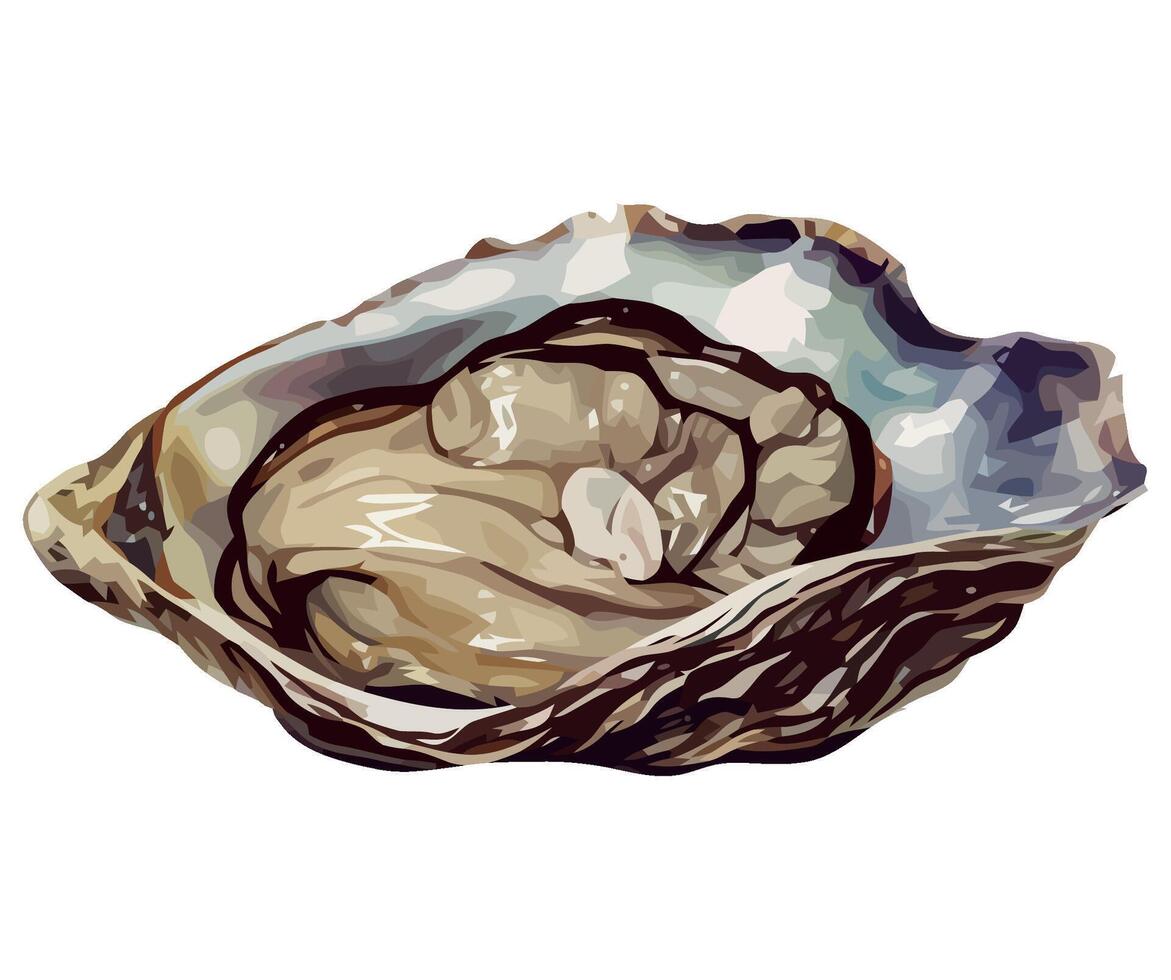 Oyster shell illustration isolated on white background vector