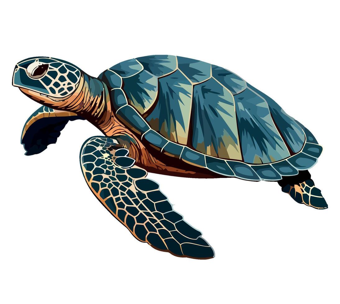 Sea turtle illustration vector