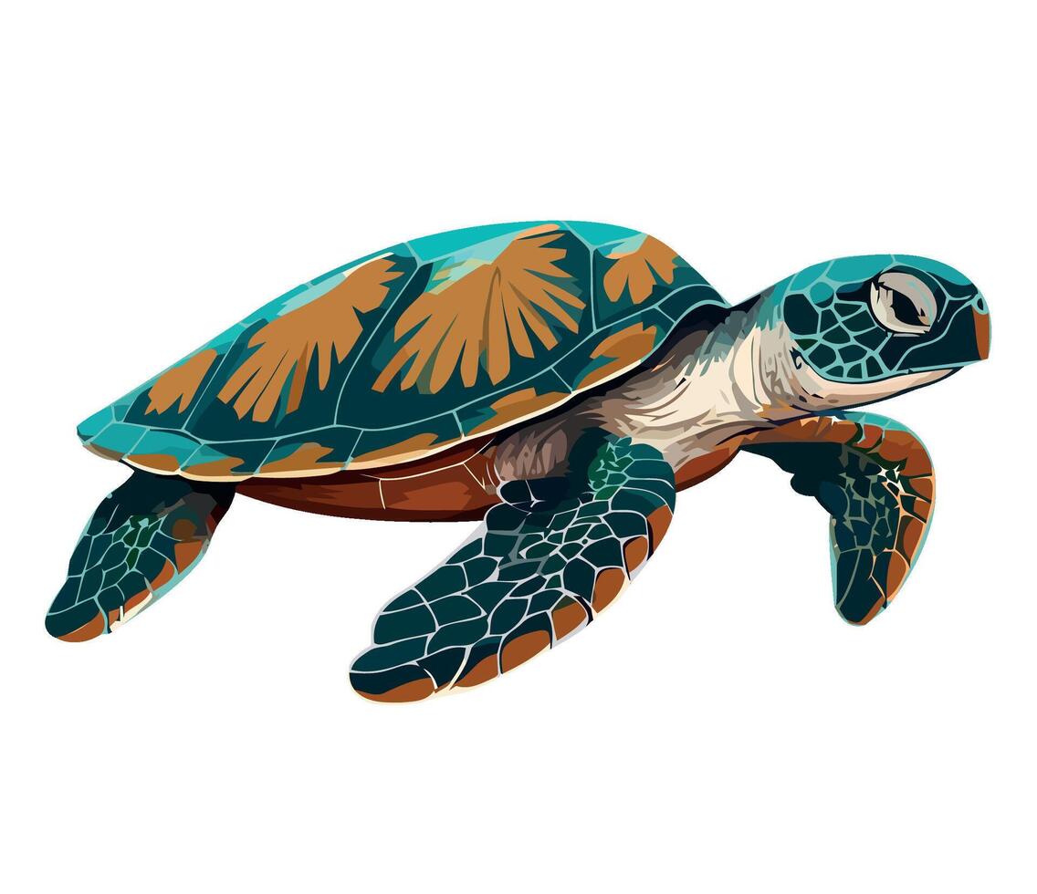 Sea turtle illustration isolated on white background vector