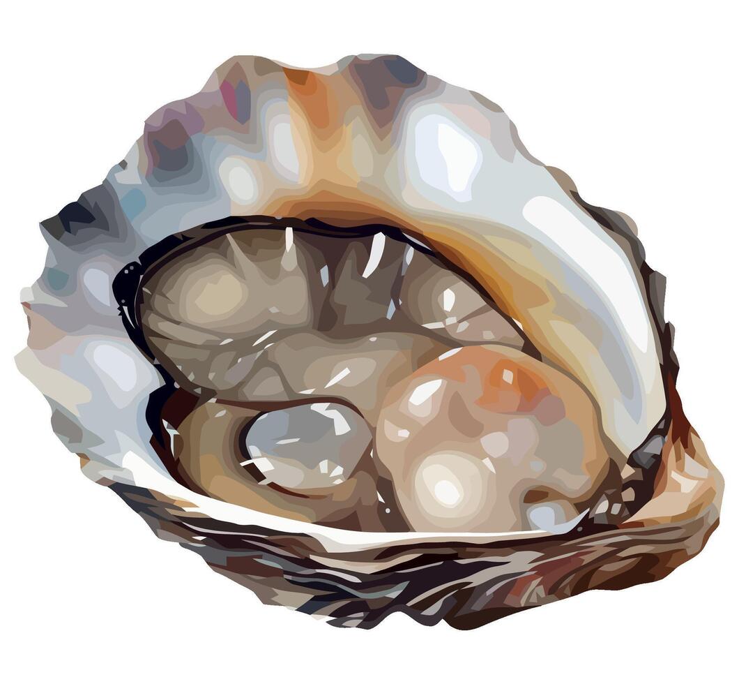 An illustration of an oyster shell vector