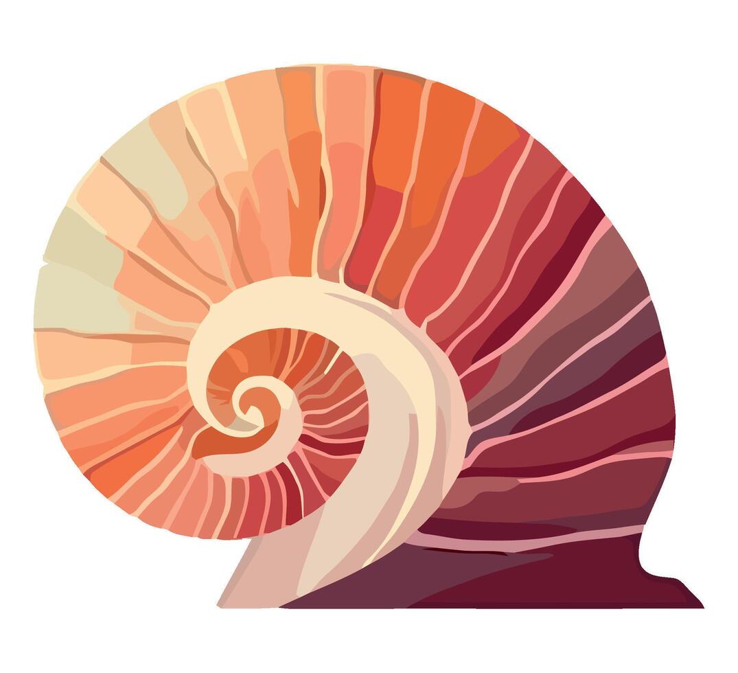 An illustration of a shell with a spiral pattern vector