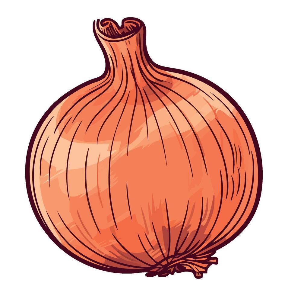 An onion is shown on a white background vector