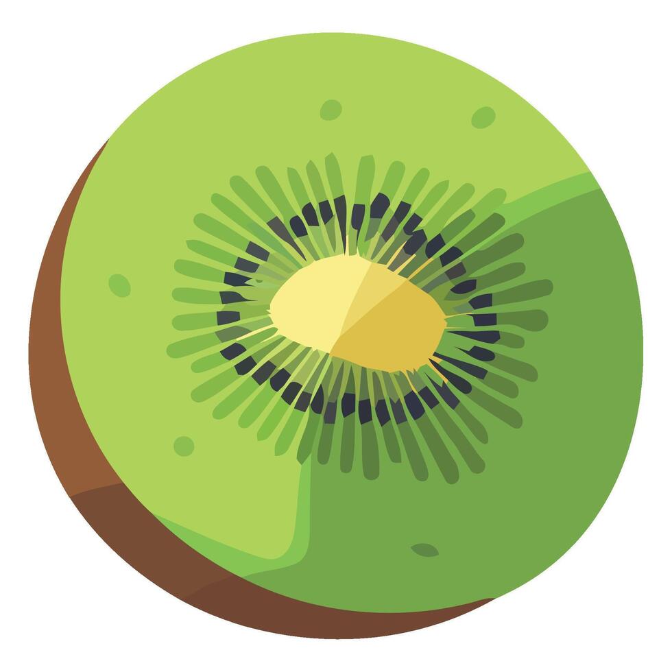 Kiwi fruit, illustration, flat design, isolated on white background vector