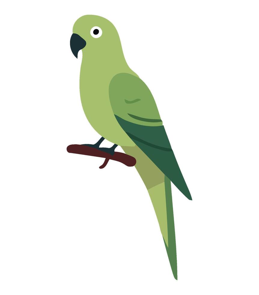 A green parrot sitting on a branch vector