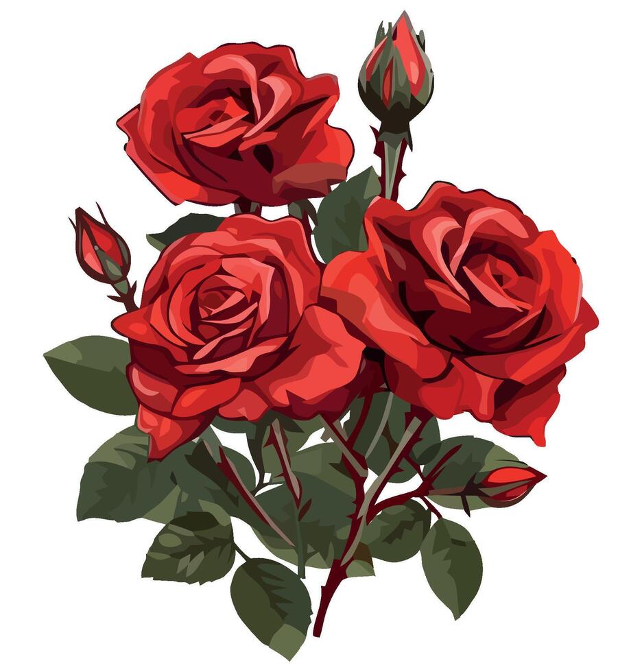 Red roses on white background vector
