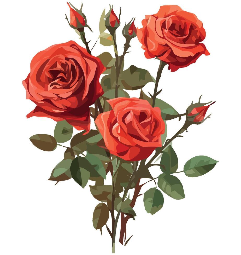 Red roses illustration vector