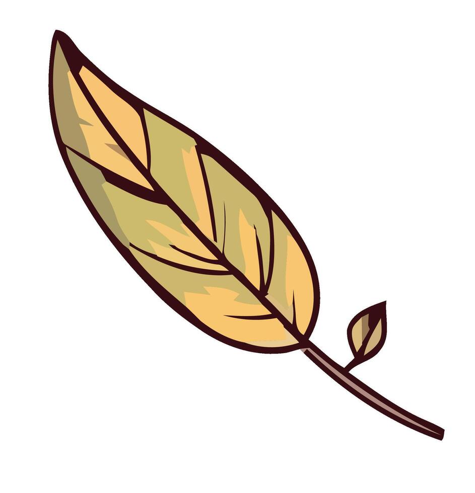 Autumn leaf illustration vector