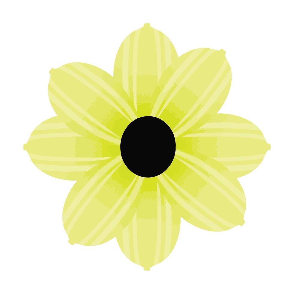 hand drawn Watercolor flower illustration isolated on white background vector
