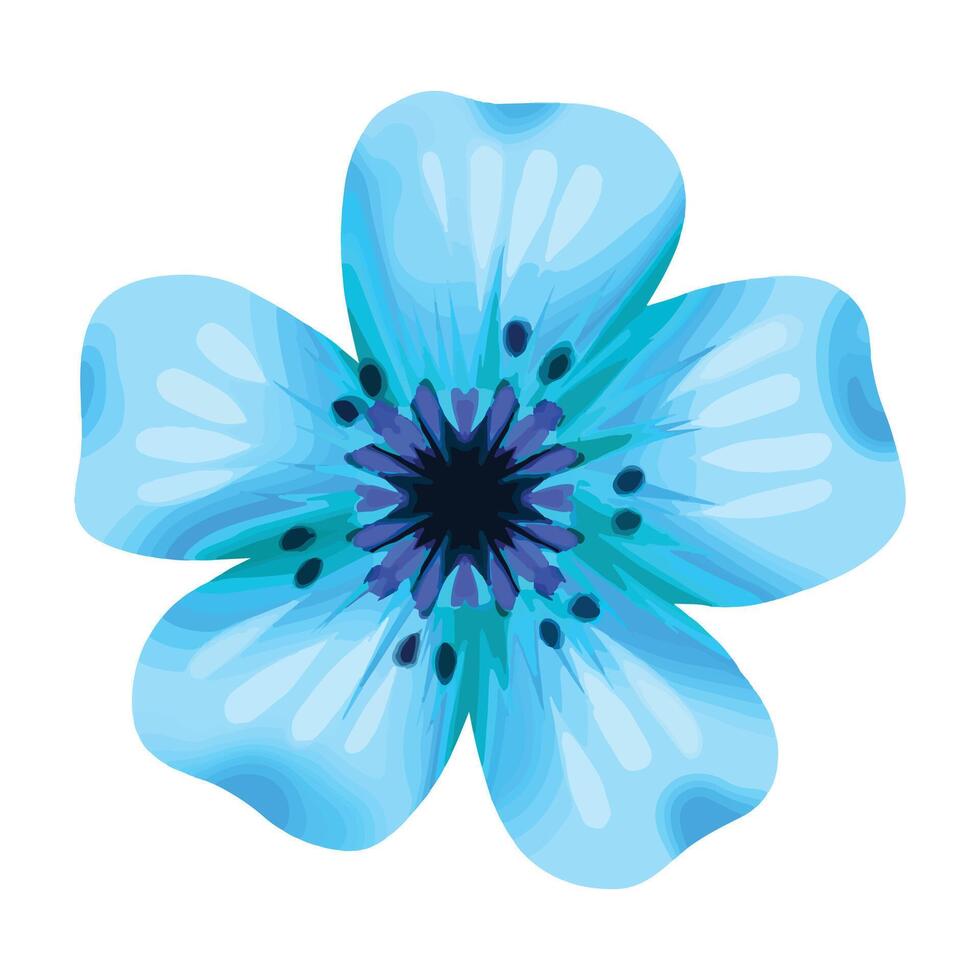 hand drawn Watercolor flower illustration on the white vector