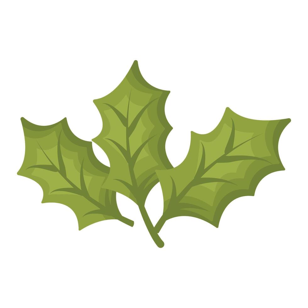 Christmas mistletoe illustration isolated on white background vector
