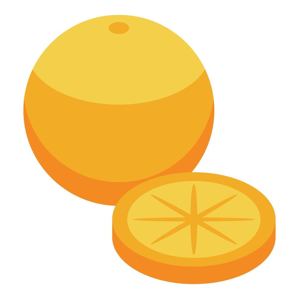 Fresh orange fruit with slice showing cross section vector