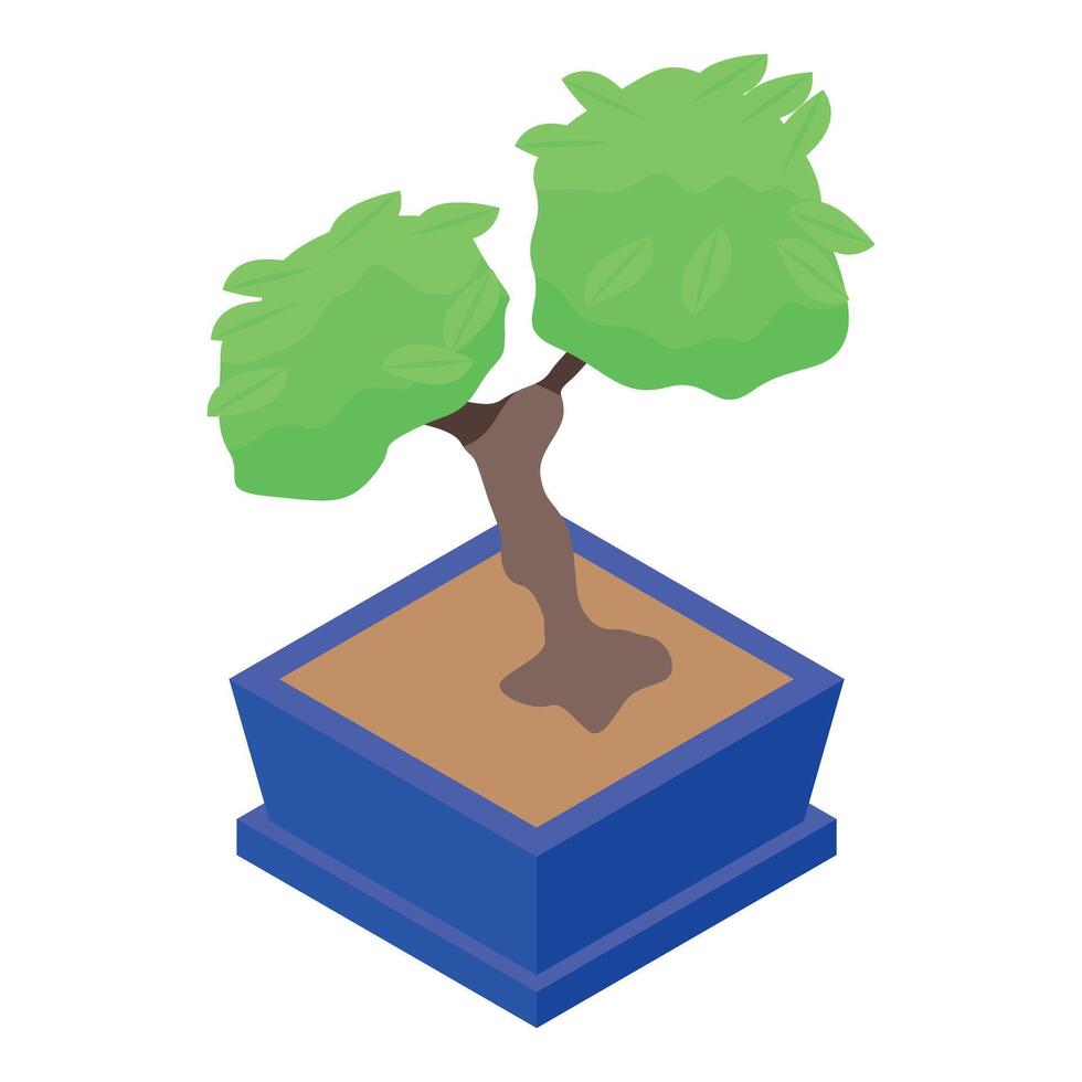 Small bonsai tree growing in a blue pot vector