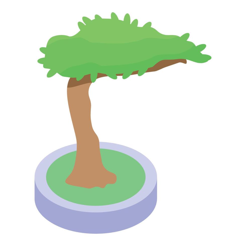 Small bonsai tree growing in a pot isometric 3d icon vector