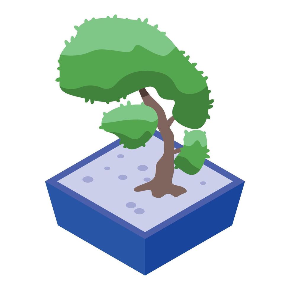 Small green bonsai tree growing in a blue pot isometric illustration vector