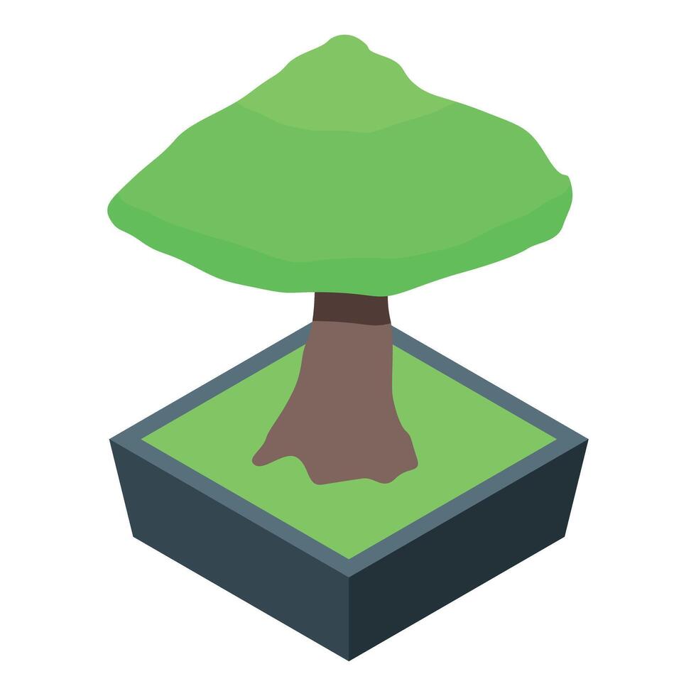 Small bonsai tree growing in a square pot isometric illustration vector