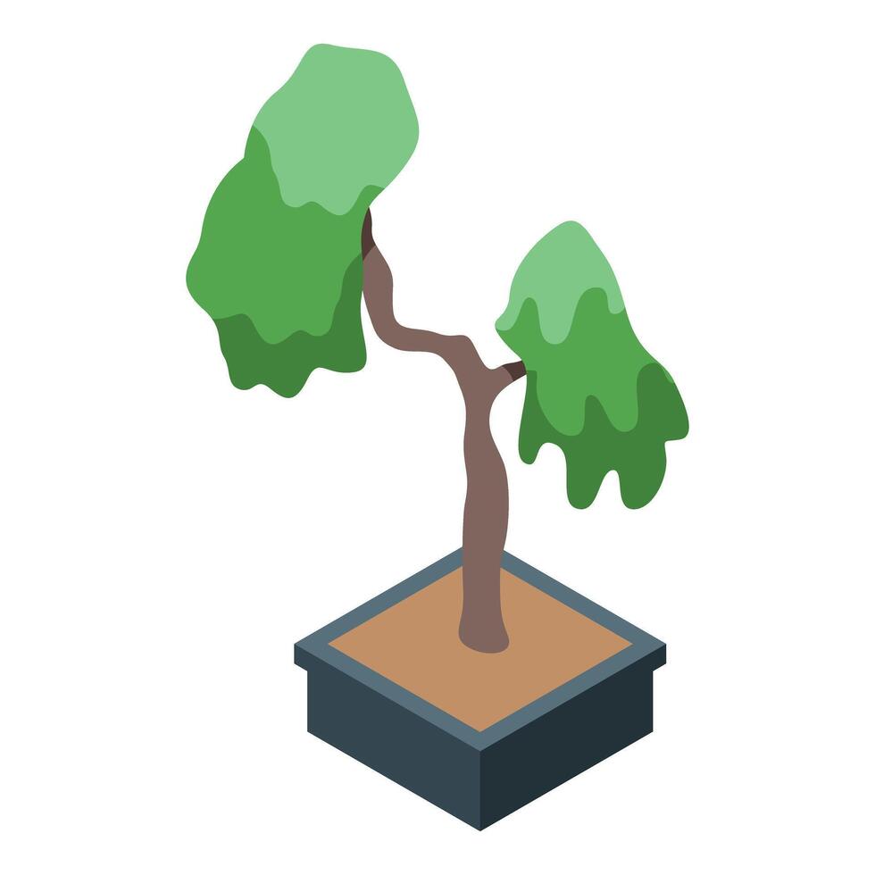 Small bonsai tree growing in pot isometric icon vector