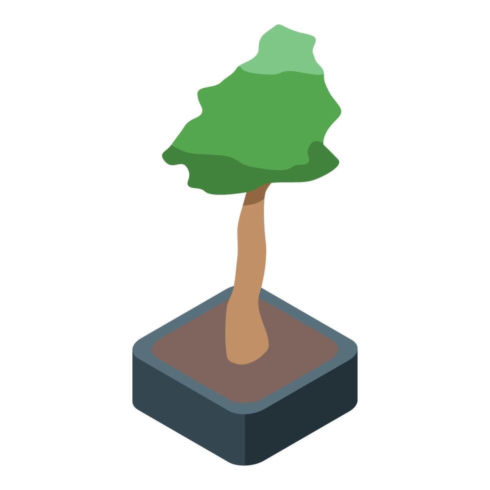 Small bonsai tree growing in a pot isometric illustration vector