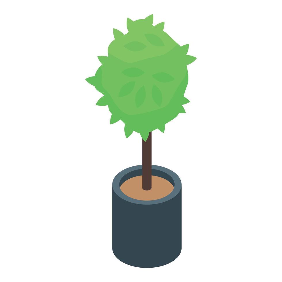 Small green tree growing in pot is decorating modern office vector