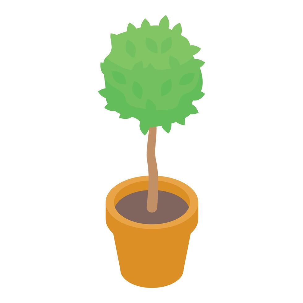 Round shaped green tree growing in a pot isometric illustration vector