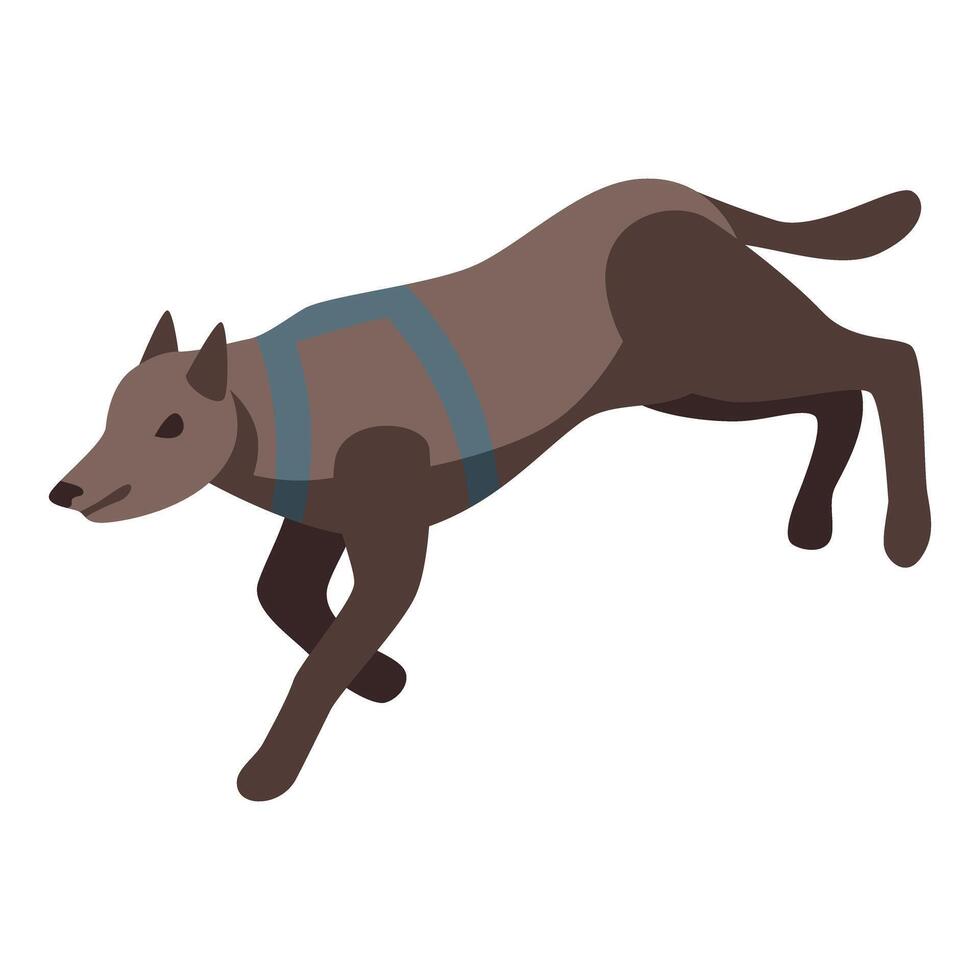 Trained search and rescue dog running and searching vector