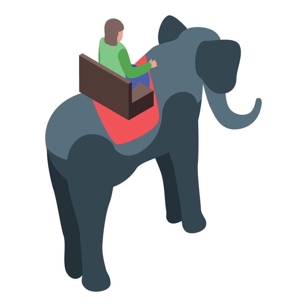 Tourist riding elephant in saddle in safari park vector