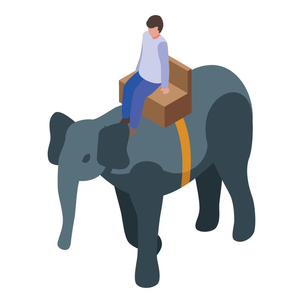 Young man riding an elephant with a chair on its back vector