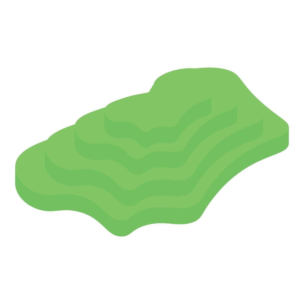 Green rice field plantation growing on cascading hillside terrace in 3d isometric view vector