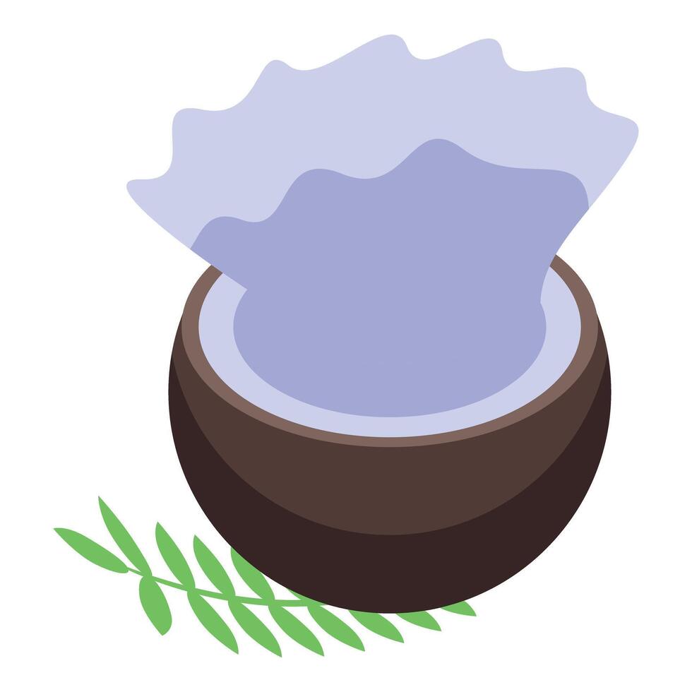 Coconut water splashing into half coconut with palm leaf vector
