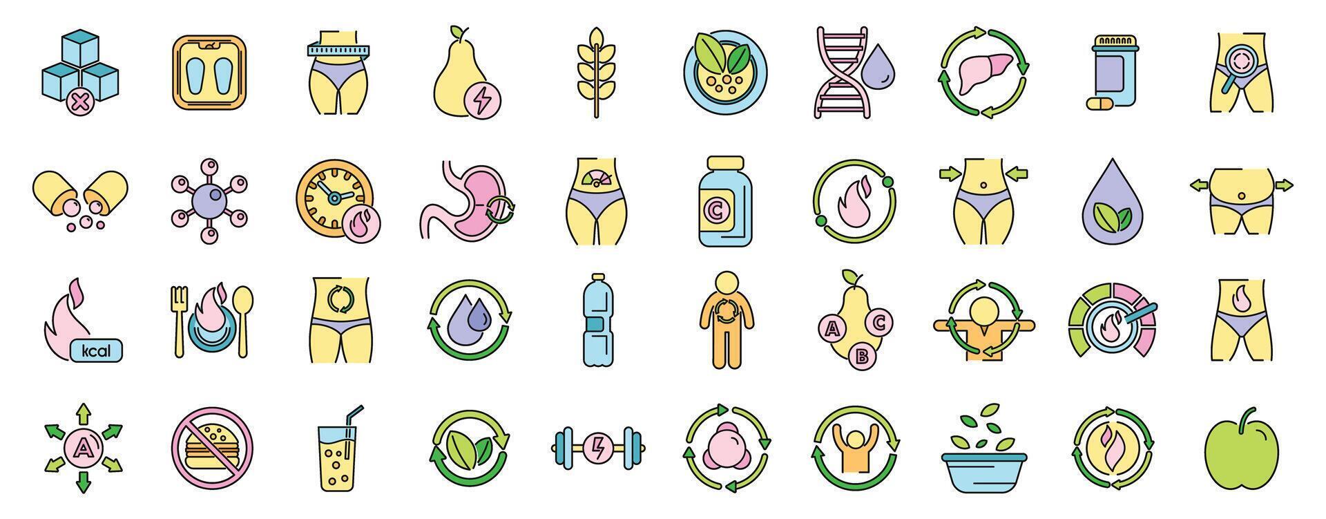 Metabolism icons set vector color line