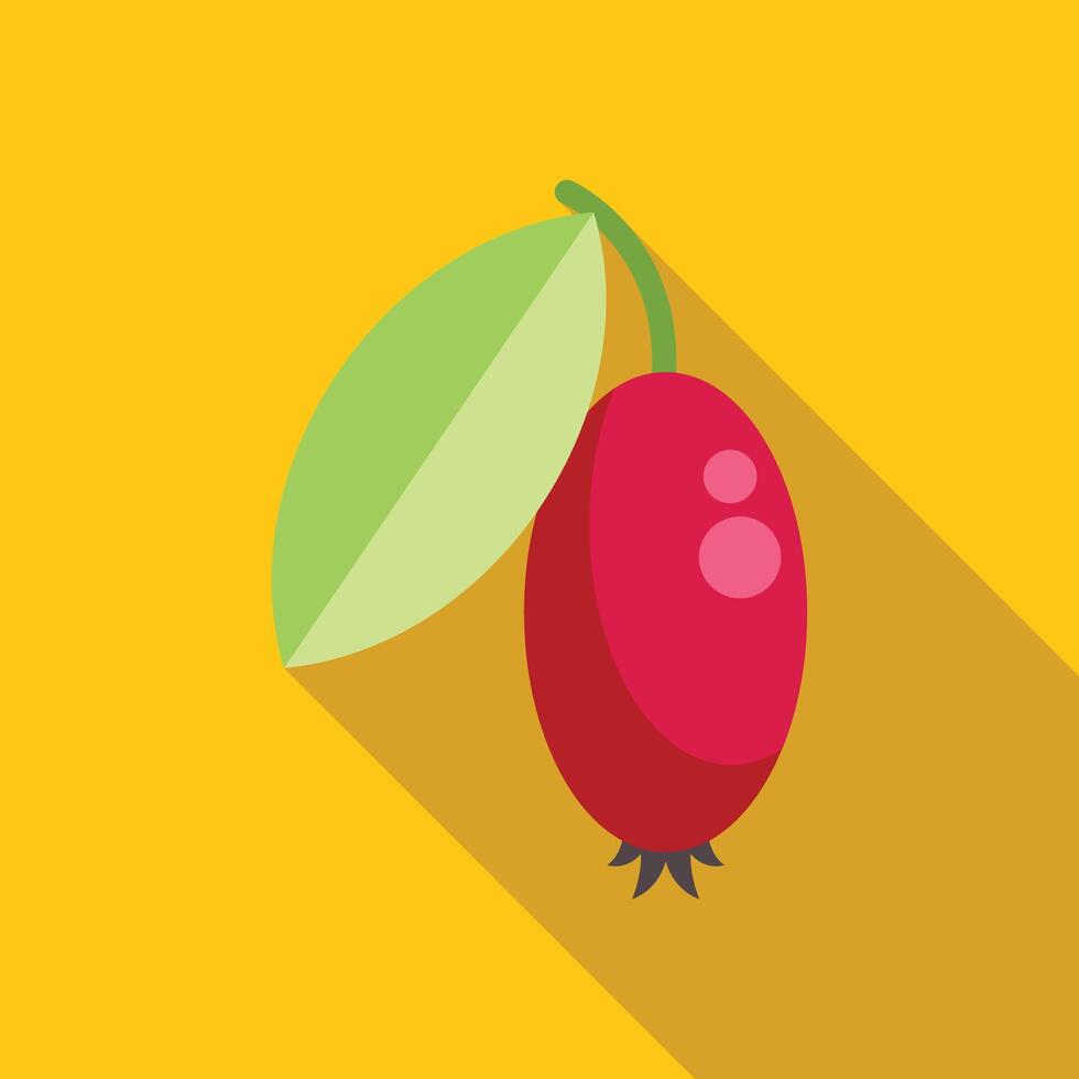 Ripe red dogwood berry hanging from branch with green leaf flat design icon vector