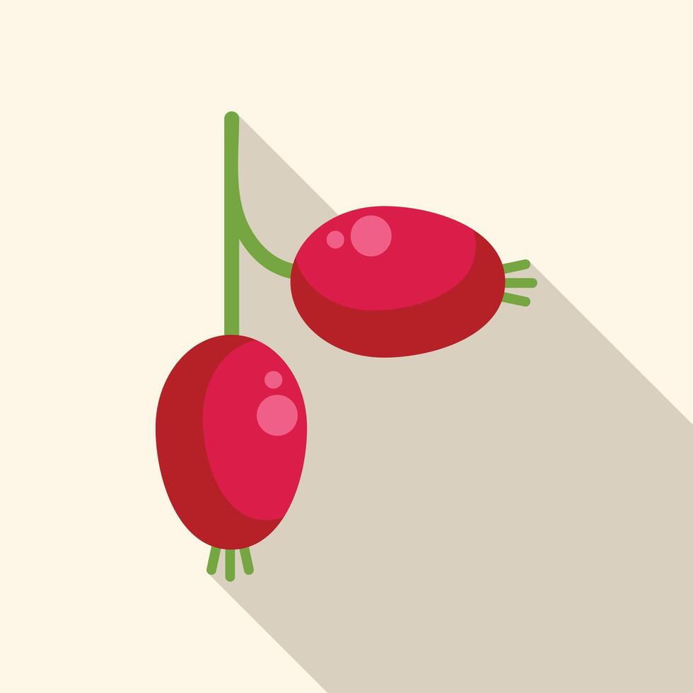 Two ripe rose hips hanging from green stem vector