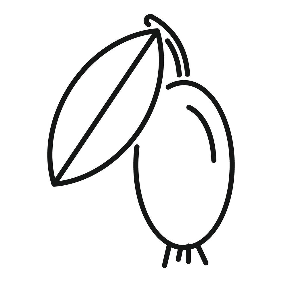 Line icon style illustration of a feijoa fruit hanging from branch vector